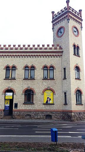 Chovatelské potřeby a krmiva Dimbo